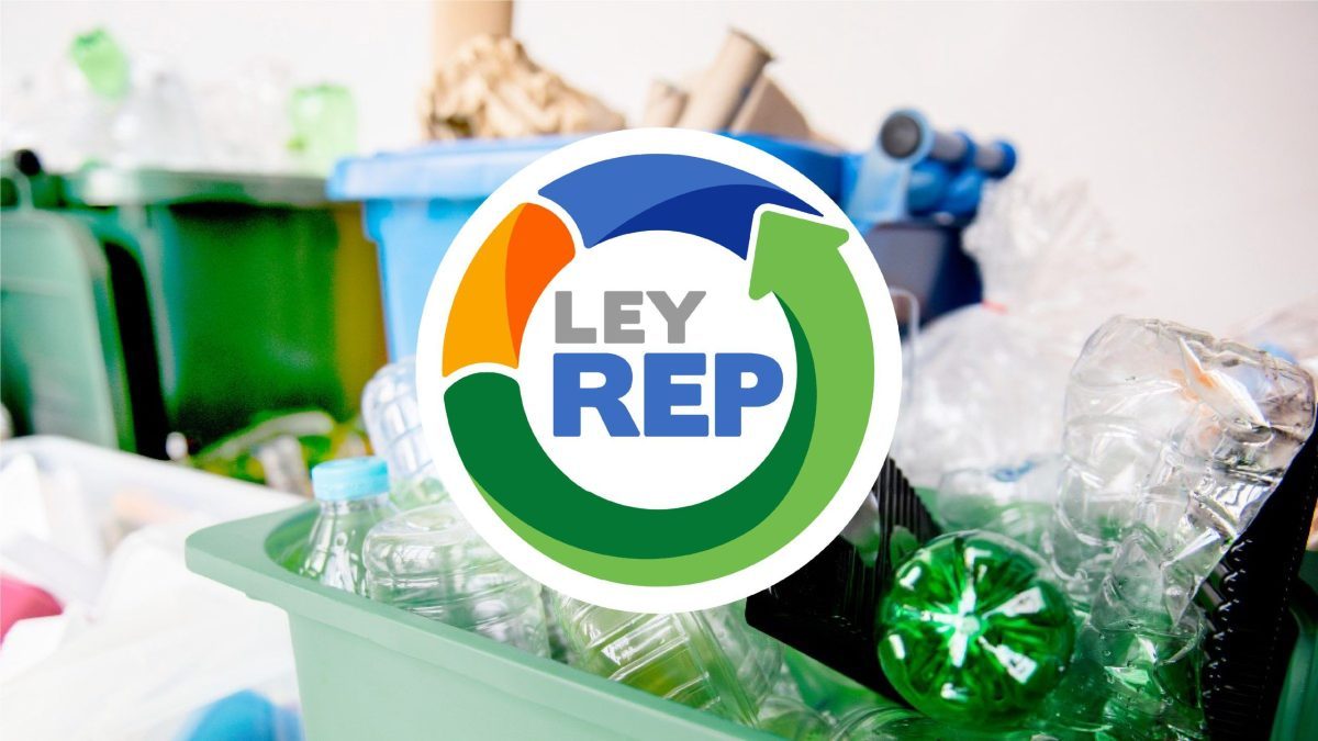 Ley REP